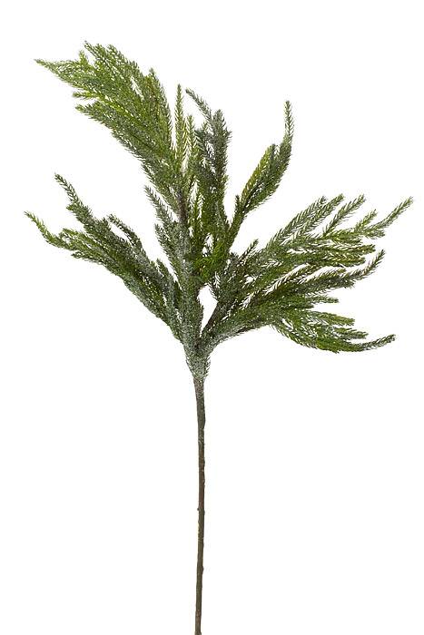 30" Iced Garden Norfolk Pine Branch Natural/frosted