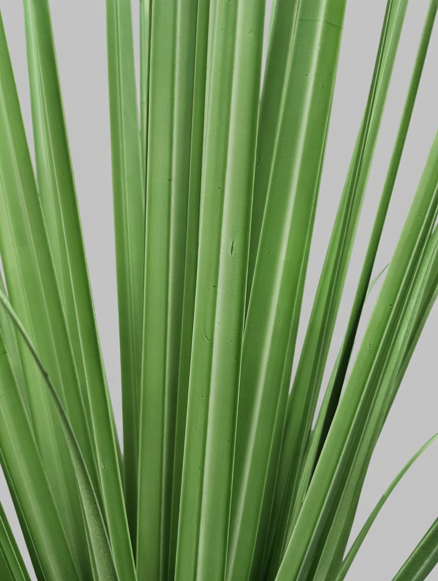60" Reed Grass In Pot Green Light
