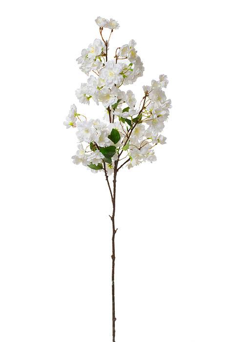 41" Cherry Blossom Spray Cream