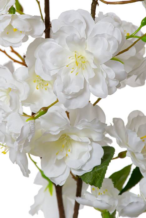 41" Cherry Blossom Spray Cream