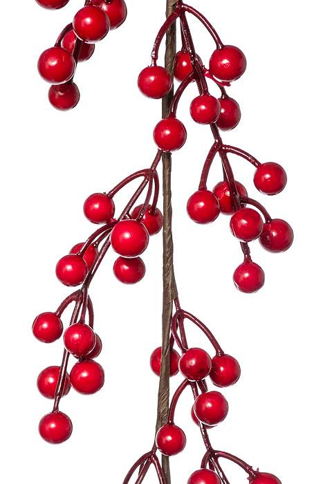 6ft Berry Garland