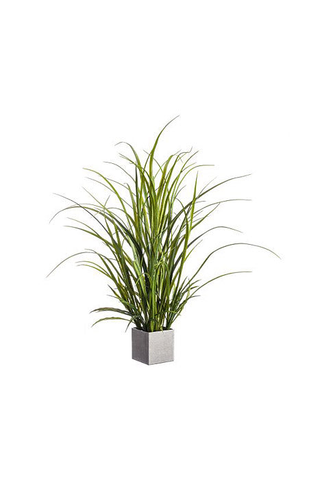 28" Grass In Plastic Pot Green