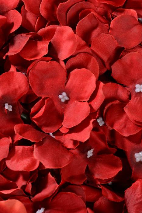 16" X 24" Wisteria Mat Red