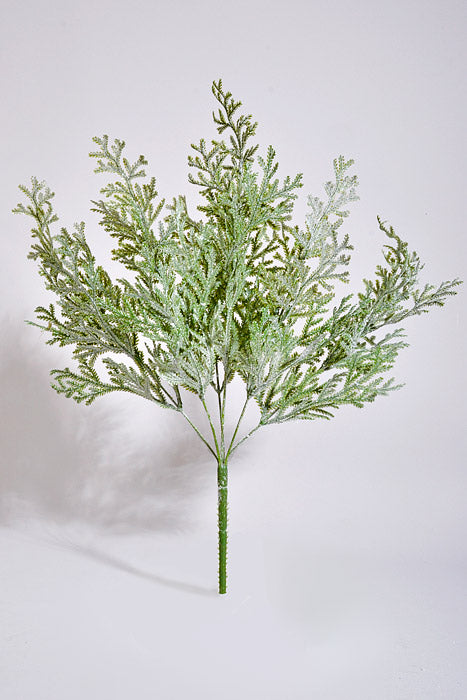 20" Cypress Bush With Ice Green