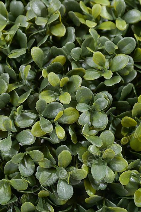 15.5" Boxwood Ball Green