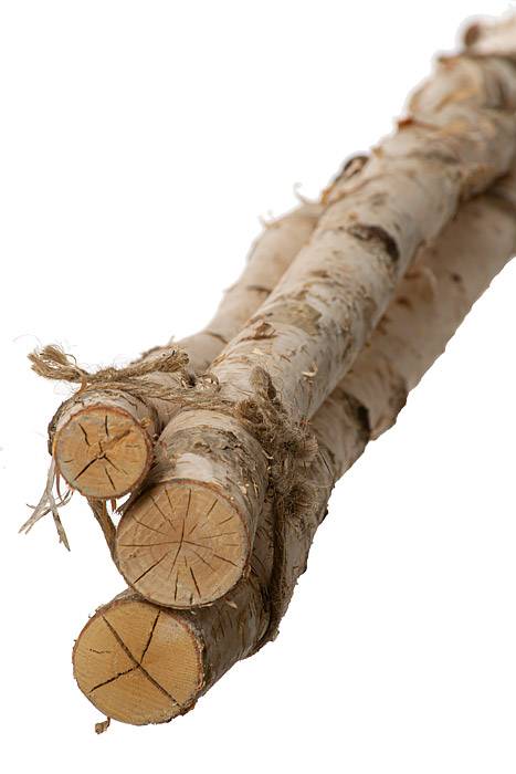 48" Birch Bundle (pkg/3) Natural