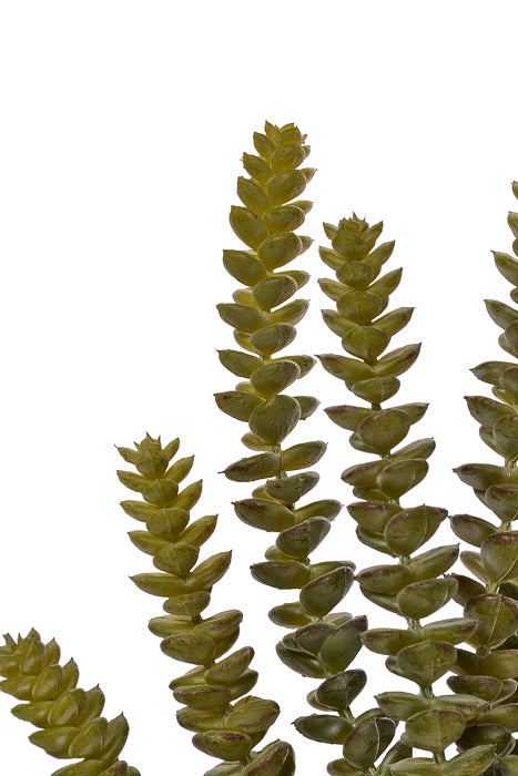 14" Real Touch Donkey Tail Pick Green/Gray