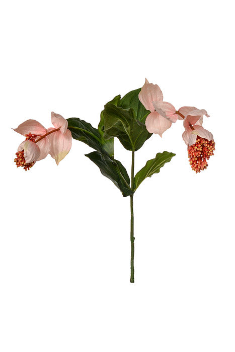 39" Silk Medinilla Spray Pink