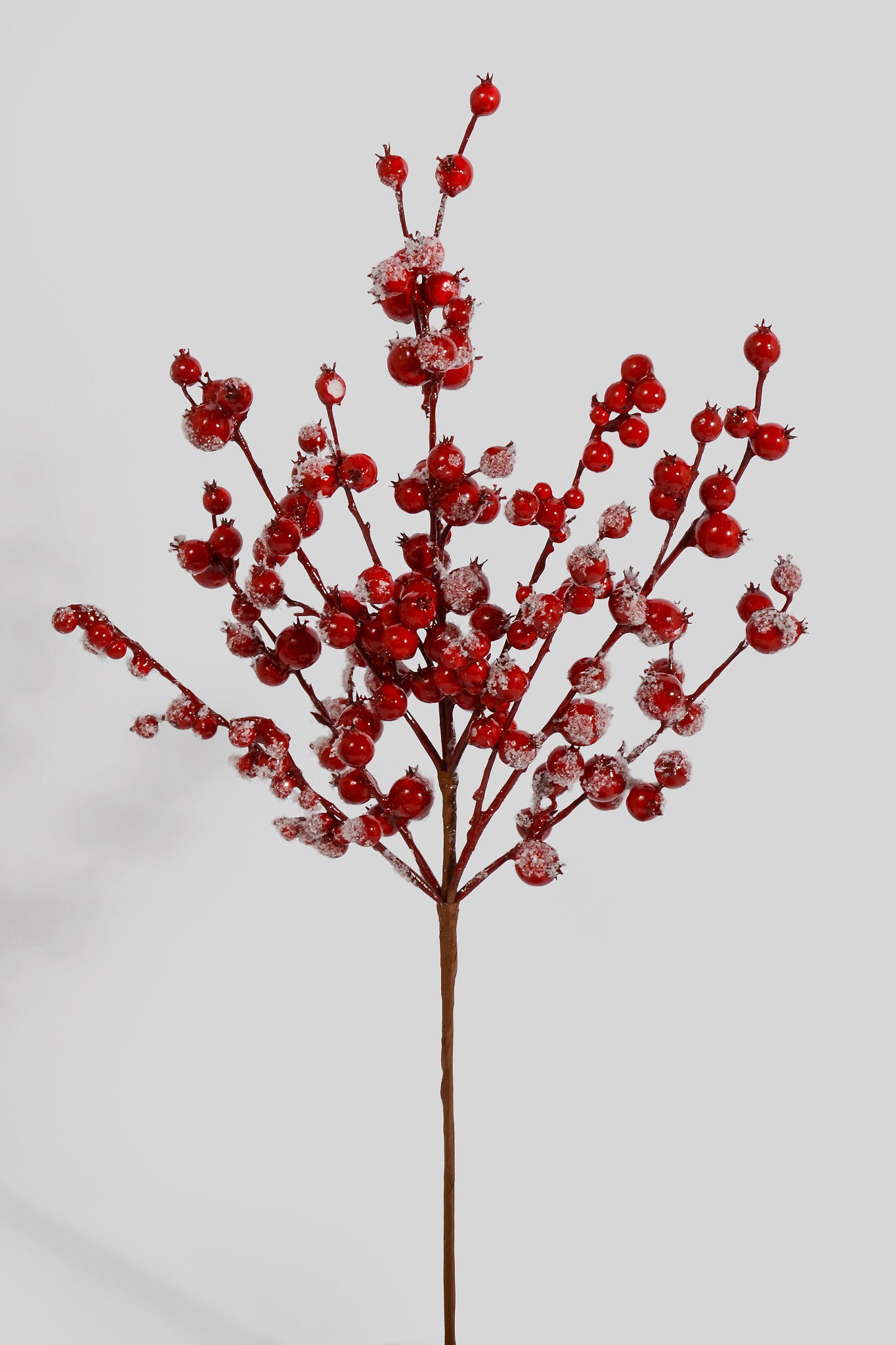 22" Snowed Rosehip Spray Red