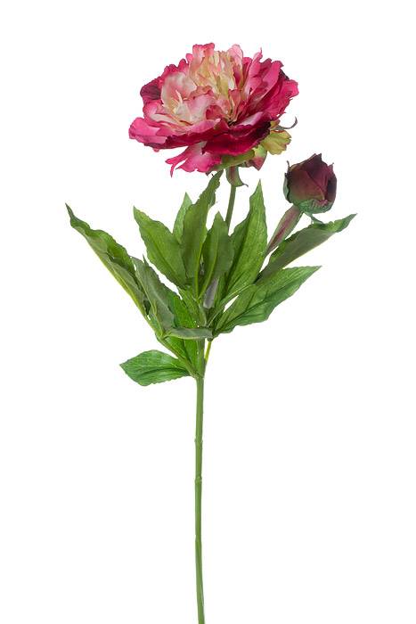 28" Silk Peony Spray Beauty/cream
