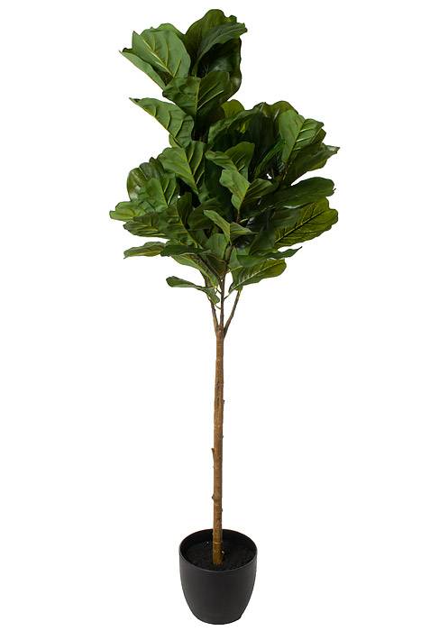 5ft Silk Fiddle Leaf Tree In Pot Green