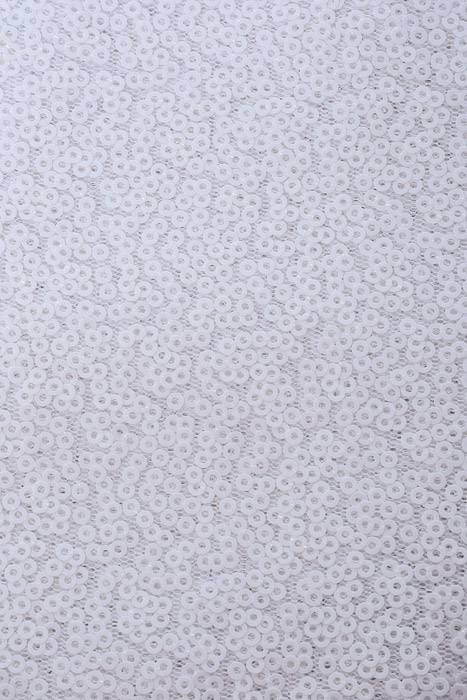60" X 5yds Sequin Netting White