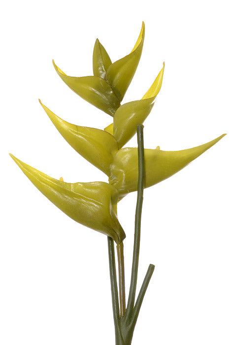 33" Small Heliconia Spray (Green)