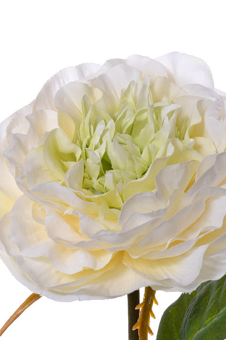 21.25" Rose Spray Cream