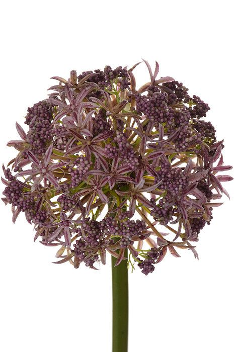29" Silk Allium Spray Lavender