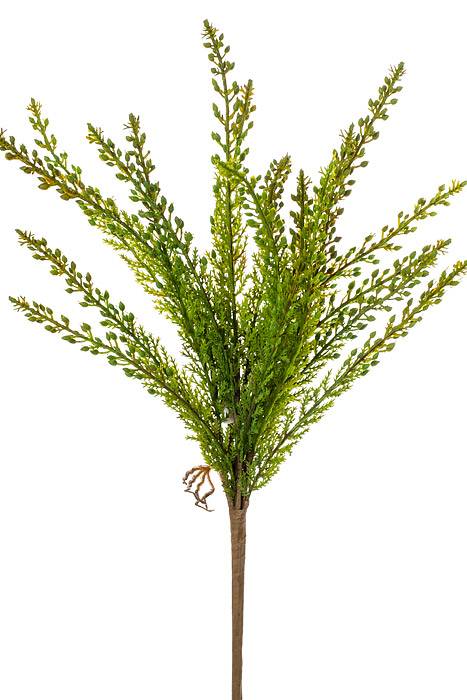 17" Cedar Bush Green