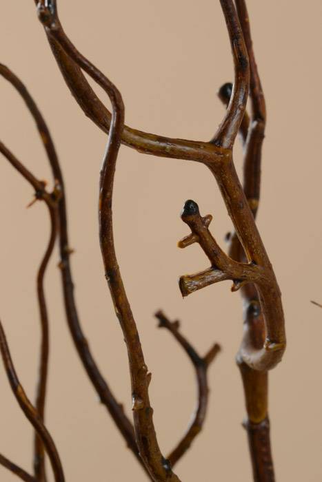 45" Twig Branches Brown