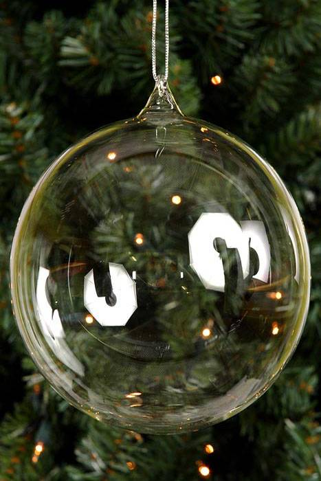 150mm Hook Glass Ball Clear