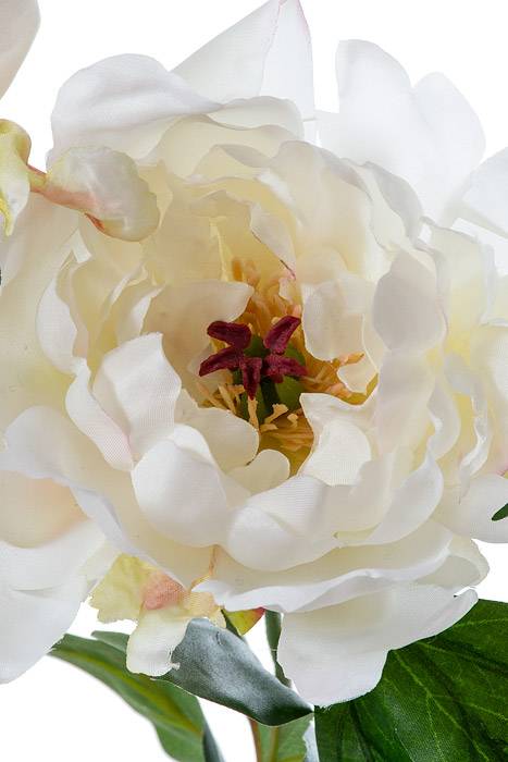 19.5" Silk Peony Spray W/bud Cream