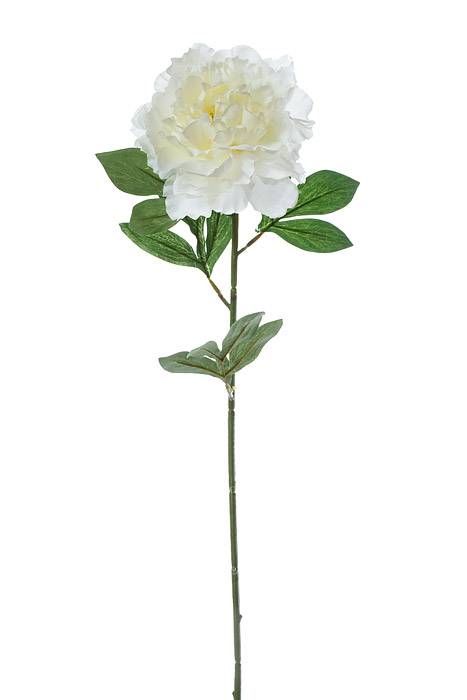 27.5" Pearl Silk Peony Spray Cream