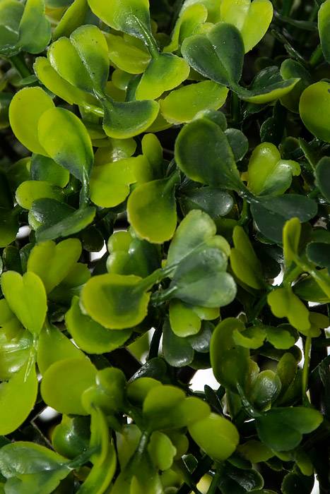 8" Plastic Boxwood Ball Green