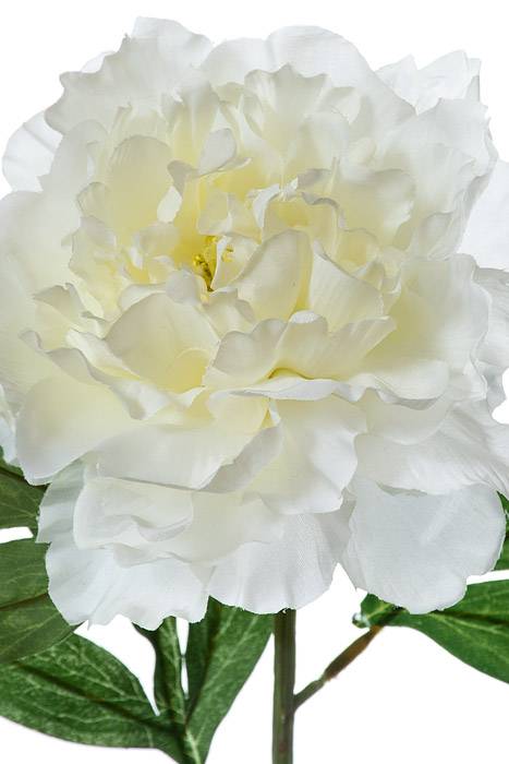 27.5" Pearl Silk Peony Spray Cream