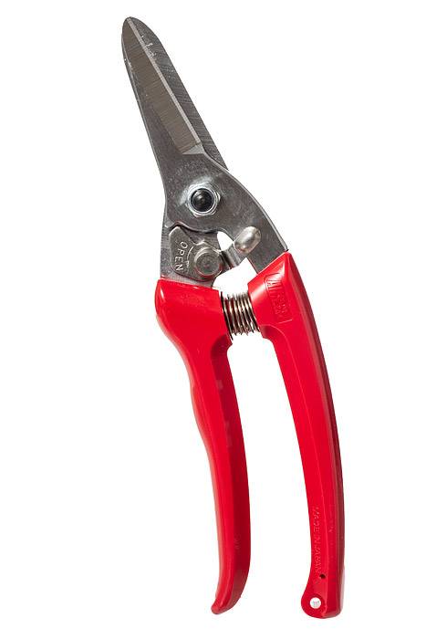 7.5" House & Garden Shear Red