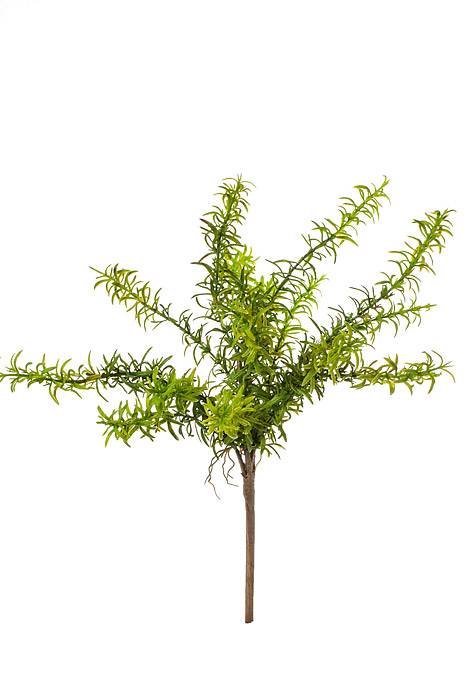 17" Rosemary Bush Green