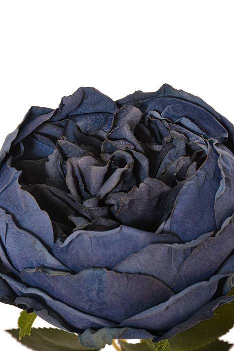 24.5" Silk Cottage Rose Spray Blue