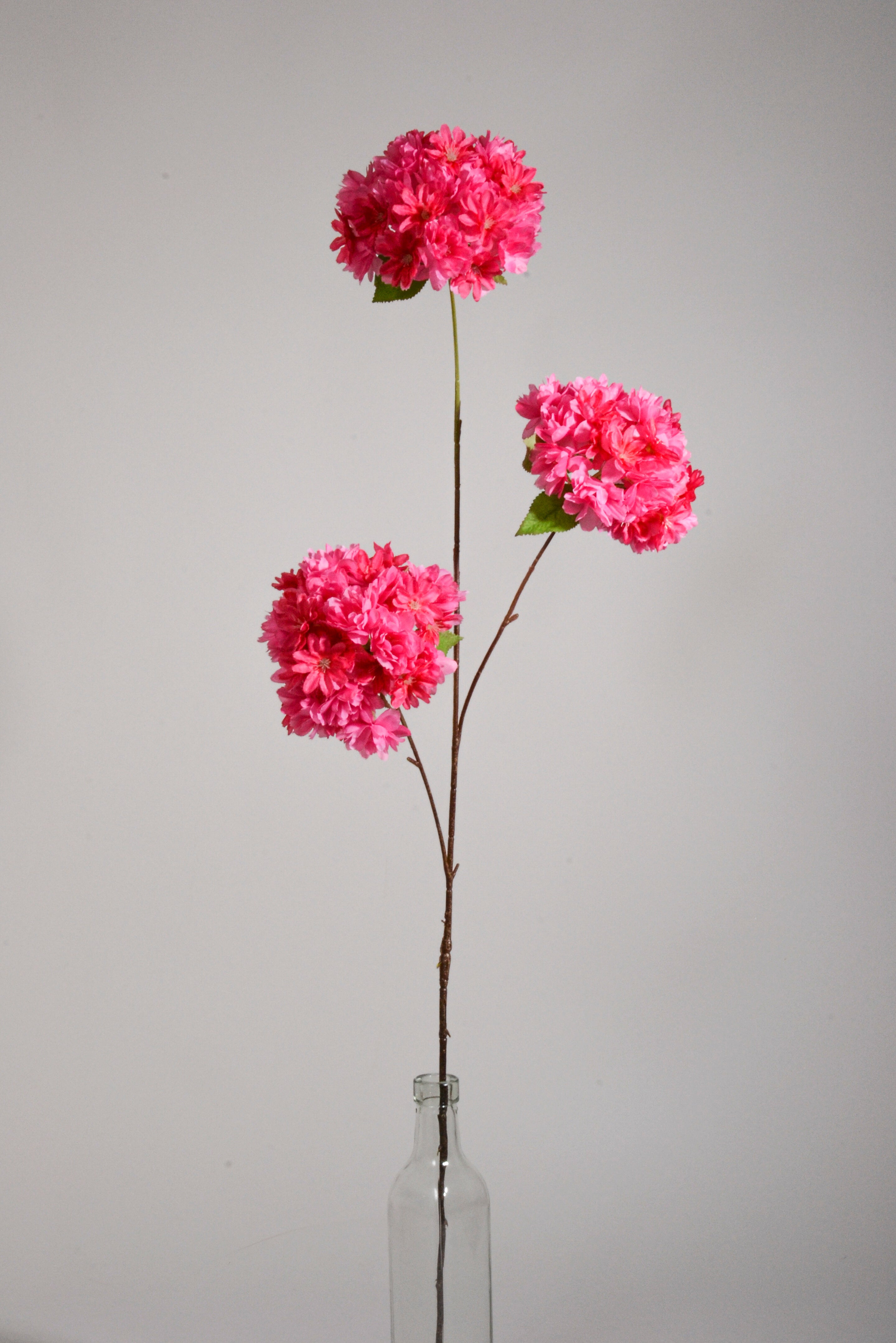 27.5" Silk Cherry Blossom Spray Hot Pink