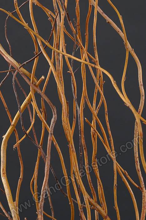 56" Curly Willow Natural