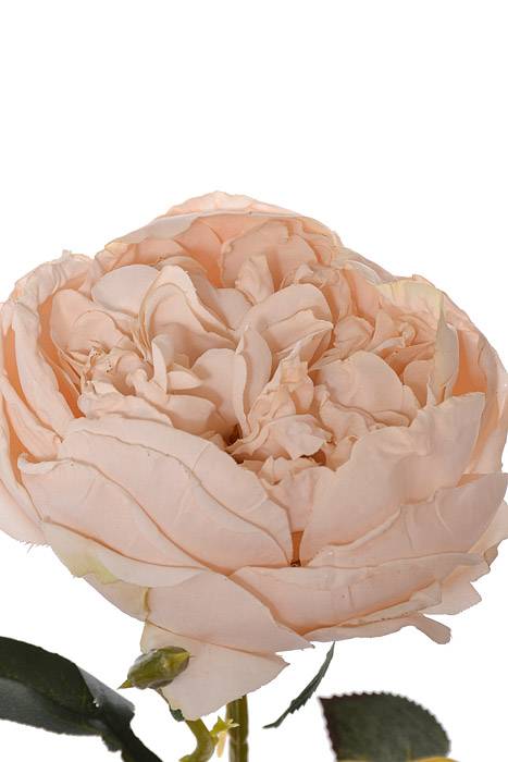 24.5" Silk Cottage Rose Spray Linen