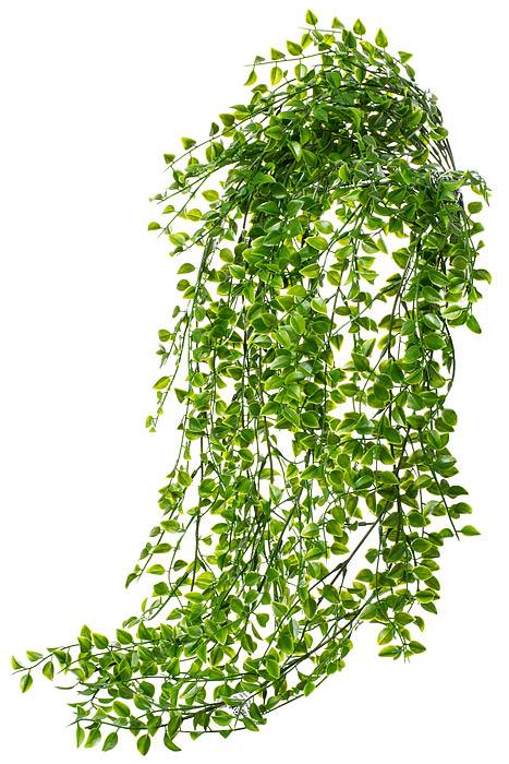 32" Small Pea Leaf Hanging Bush Green
