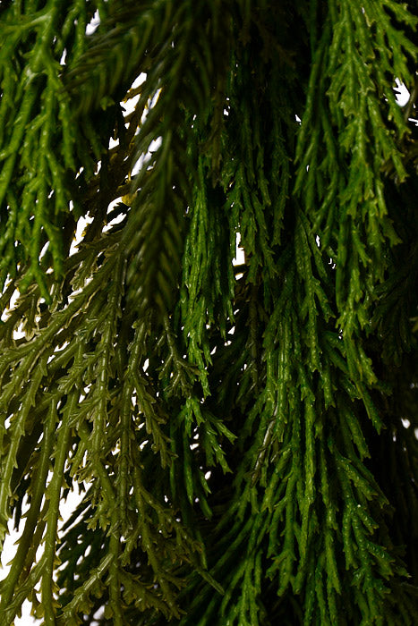 48" Cyprus Norfolk Pine Garland Natural Green