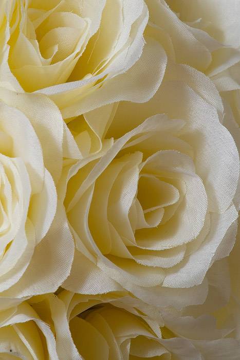 12" Rose Ball W/ribbon Ivory