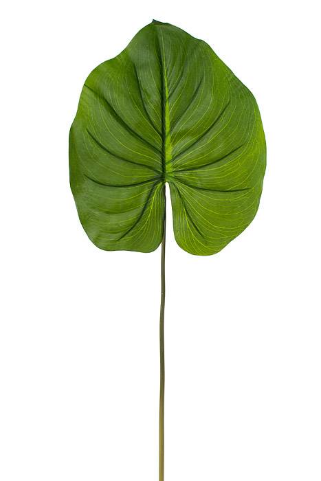 33.5" Alocasia Leaf Green
