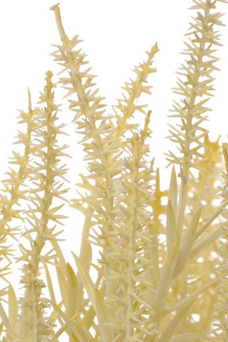 18" Astilbe Bundle Cream