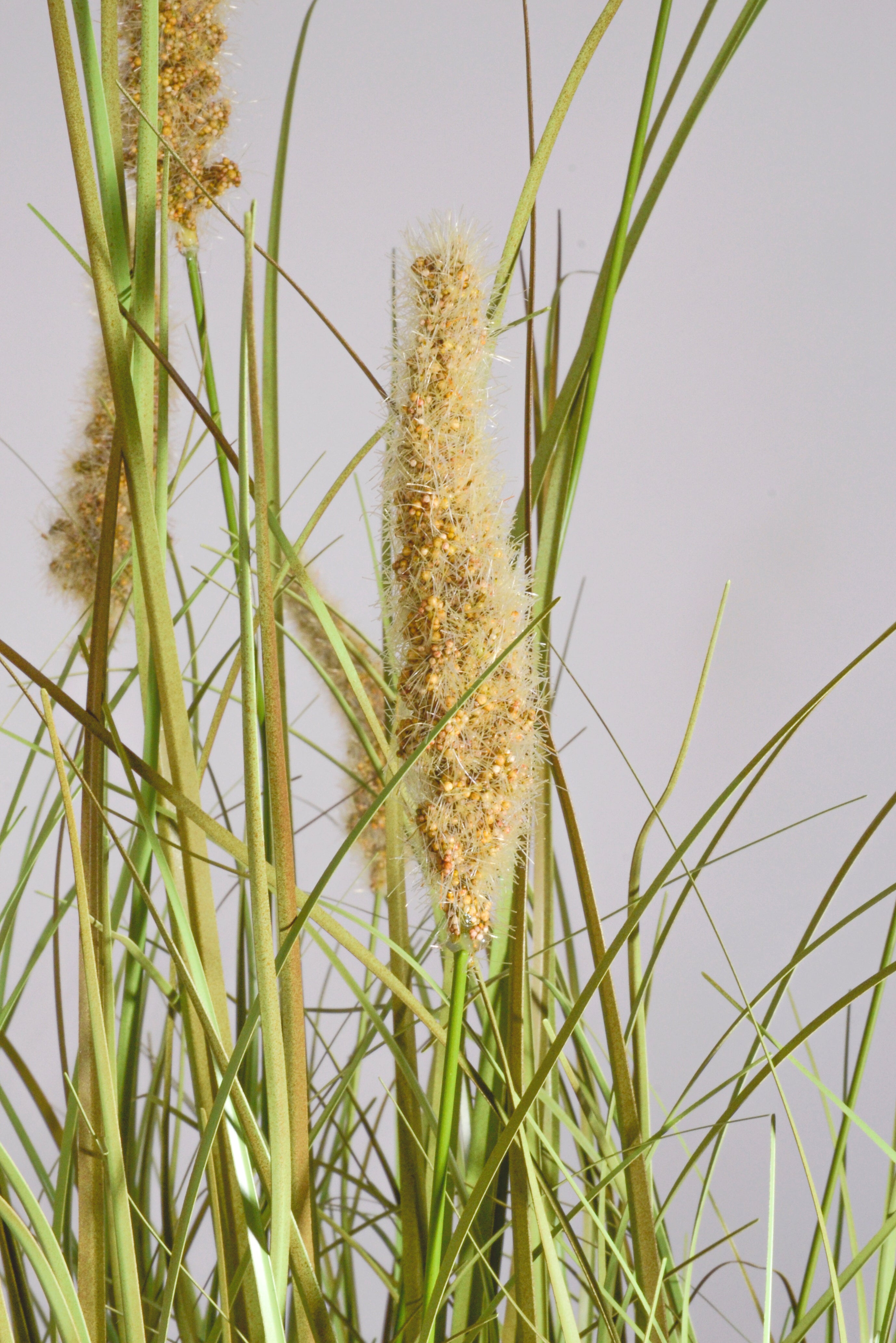 48" Artificial Grass Bush W/Pot Green