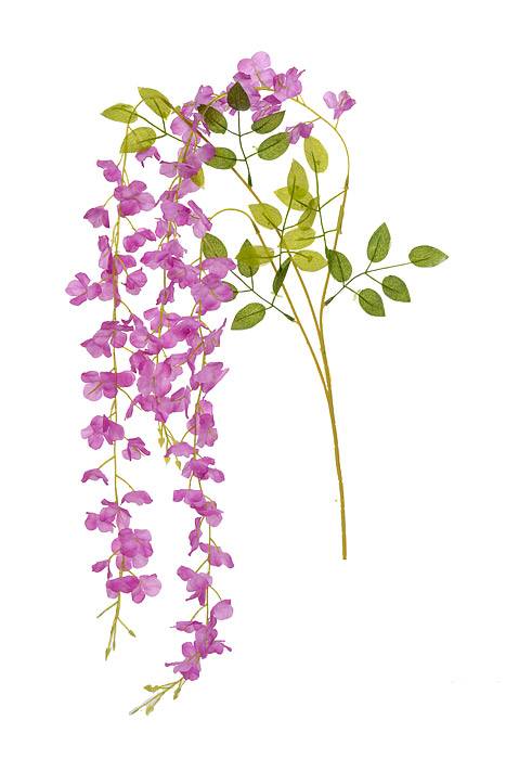 42" Silk Wisteria Hanging Spray Orchid Pkg/12