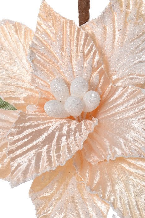 17" Poinsettia With Berry & Pinecone Cream