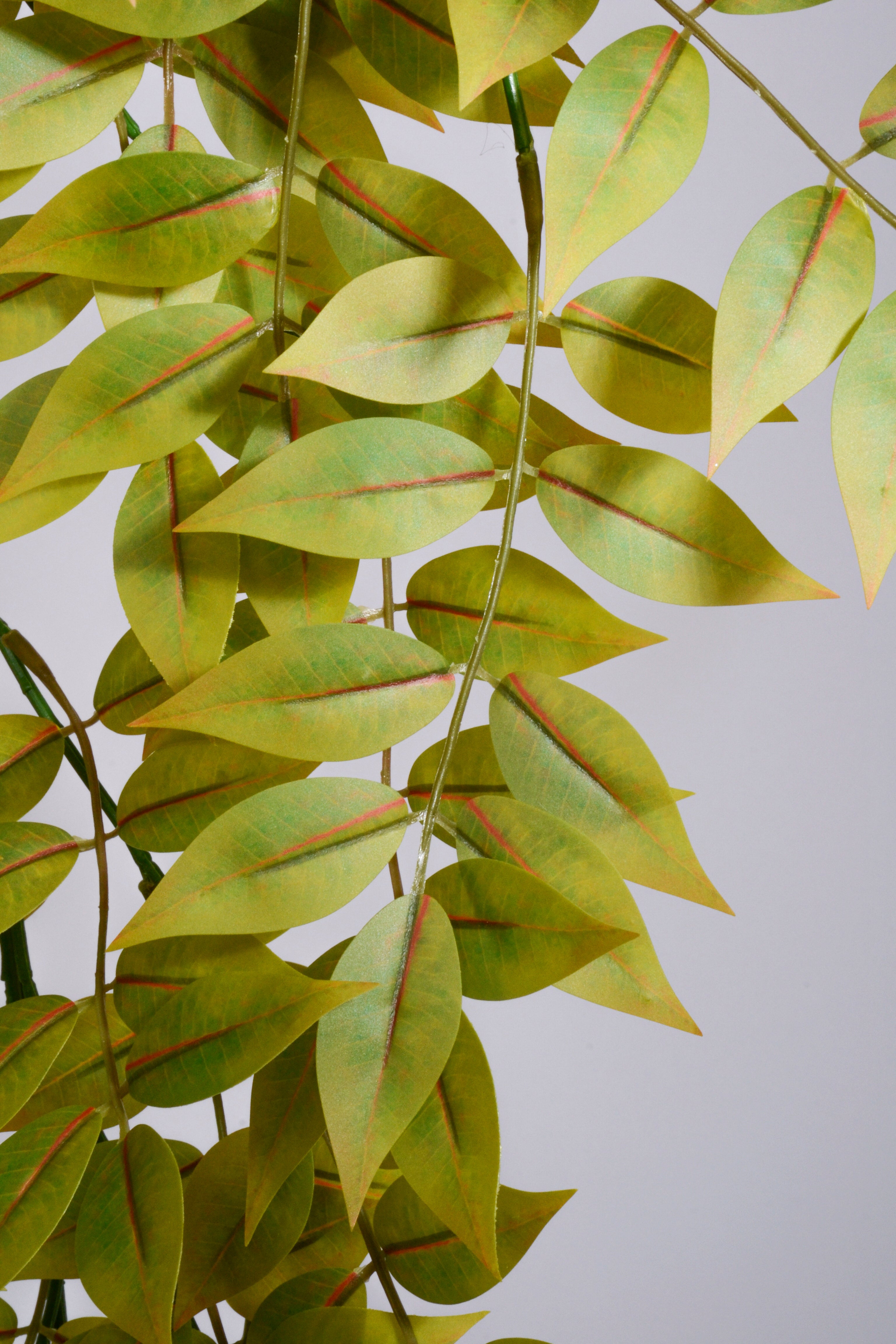 52" Silk Toon Leaf Hanging Spray Green