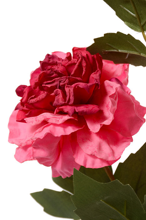 35.5" Silk Wild Rose Spray Pink