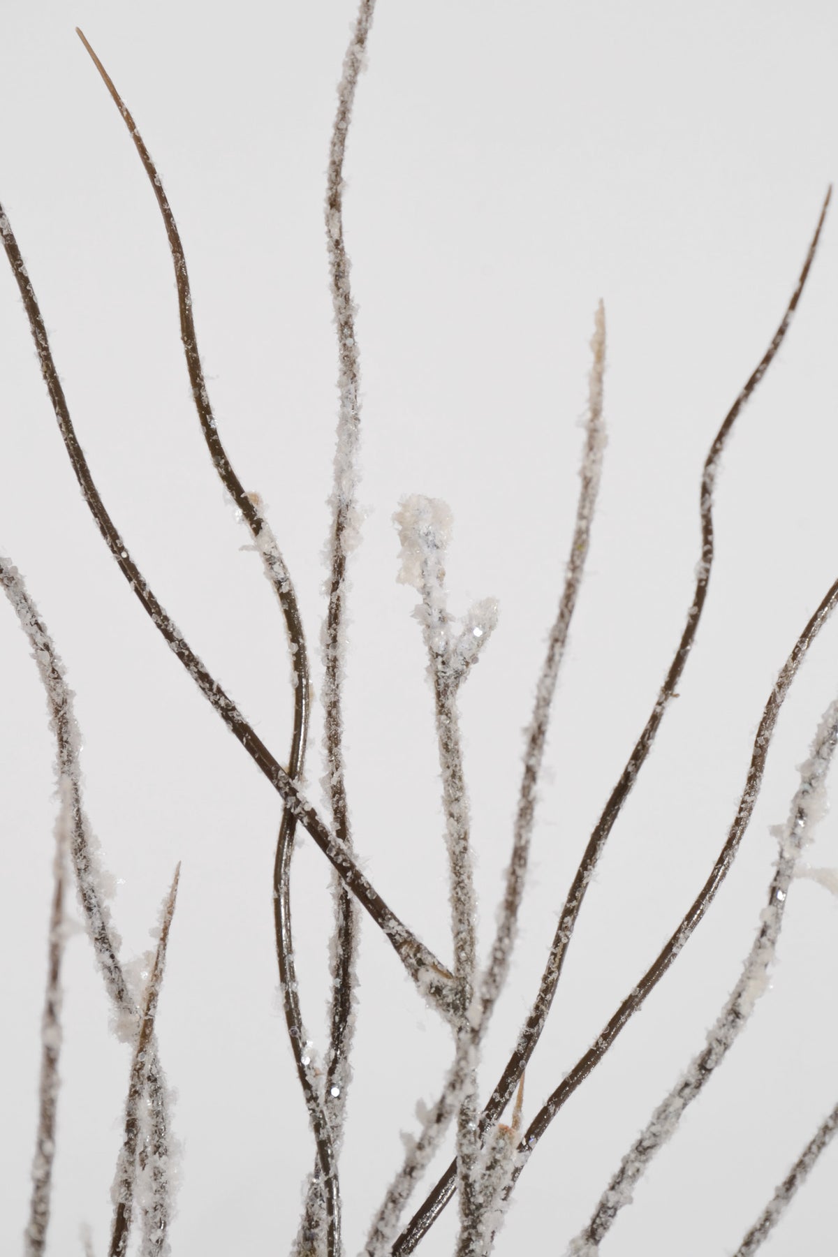 46" Snowed Twig Spray White/Brown