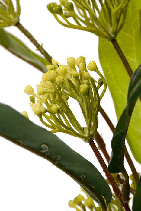 41" Sweet Osmanthus Spray Yellow