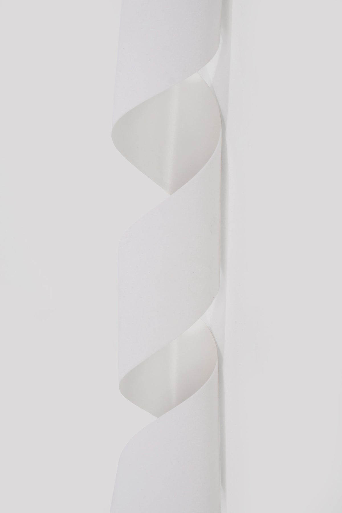 2.5" X 25Yds Vel-Pruf Plastic Ribbon White