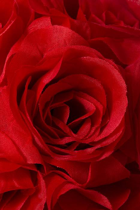 6" Rose Ball W/ribbon Red