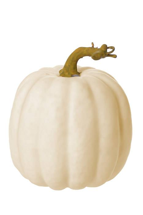 6.5" X 5.5" Pumpkin White Pkg/2