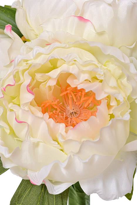 12.5" Silk Peony Bundle Cream/Pink