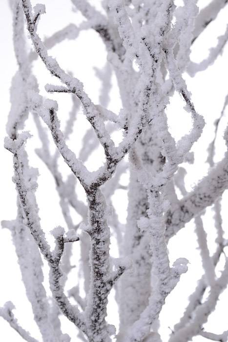 88" Snowed Twig Spray Brown/snow