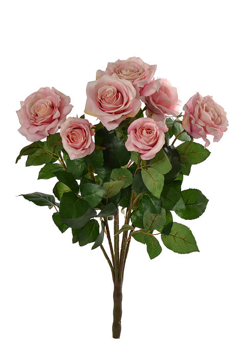 21.5" Confetti Rose Bush Pink